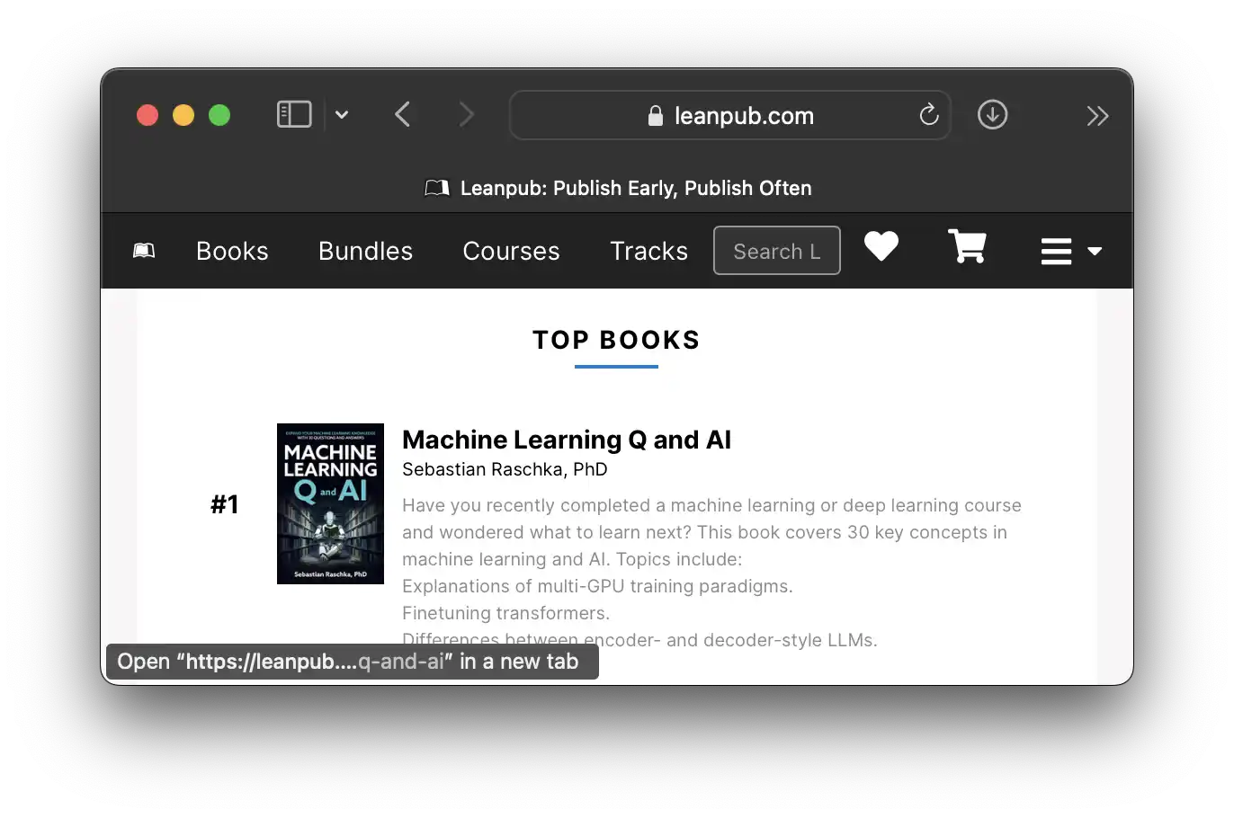 ML Q and AI on LeanPub