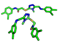ligand
conformation