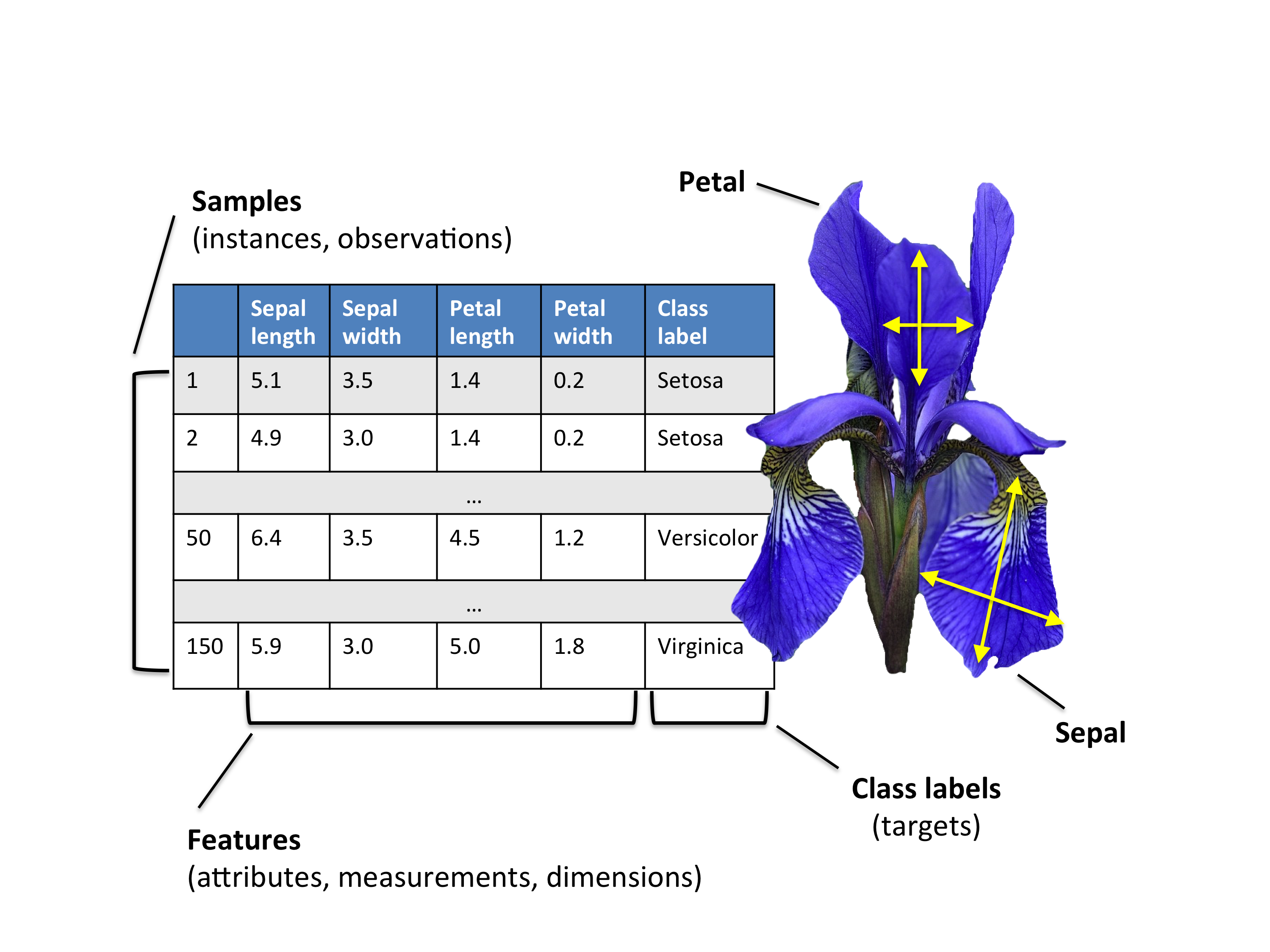 Gambar Analisis Komponen Utama