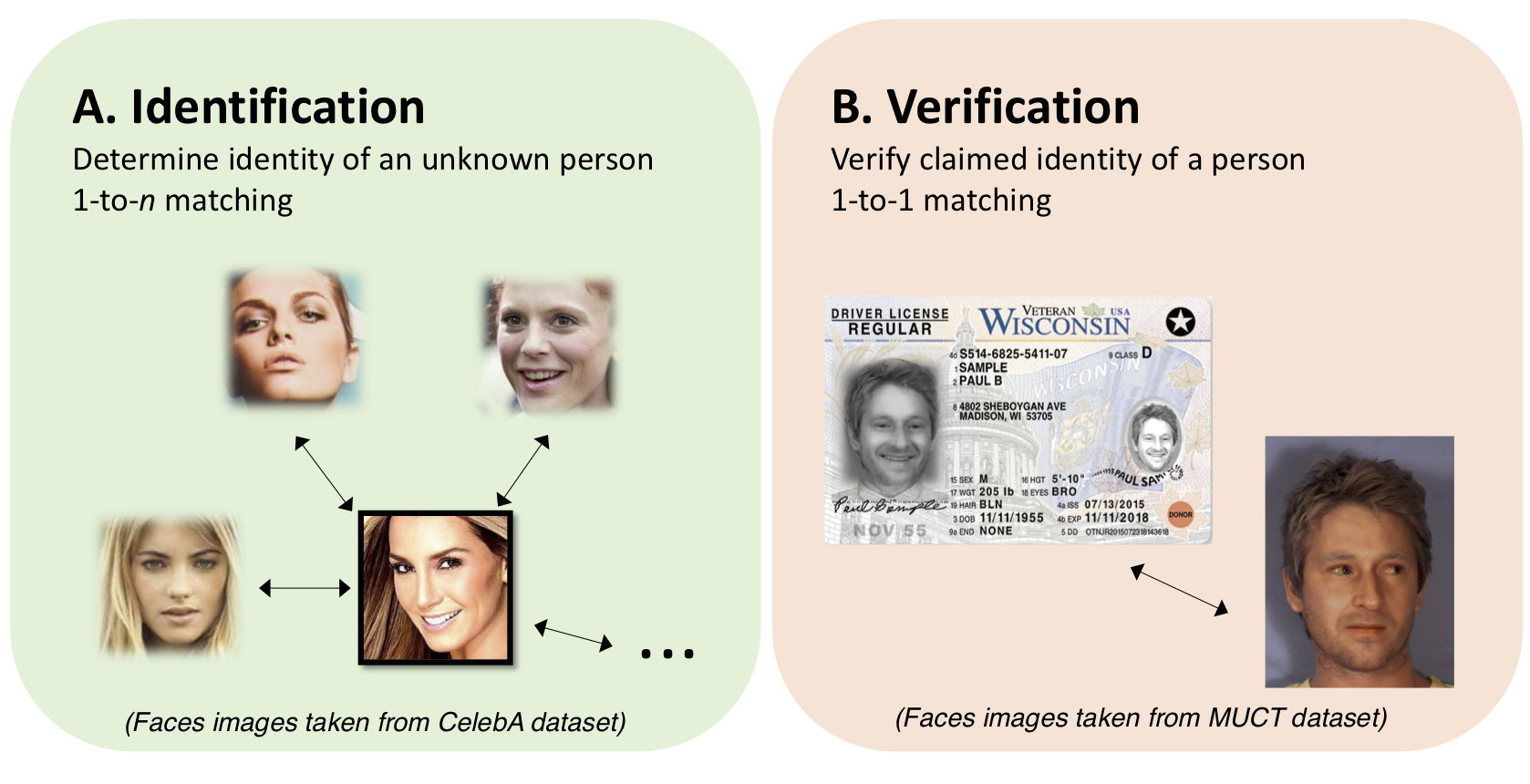 Biometric Recognition