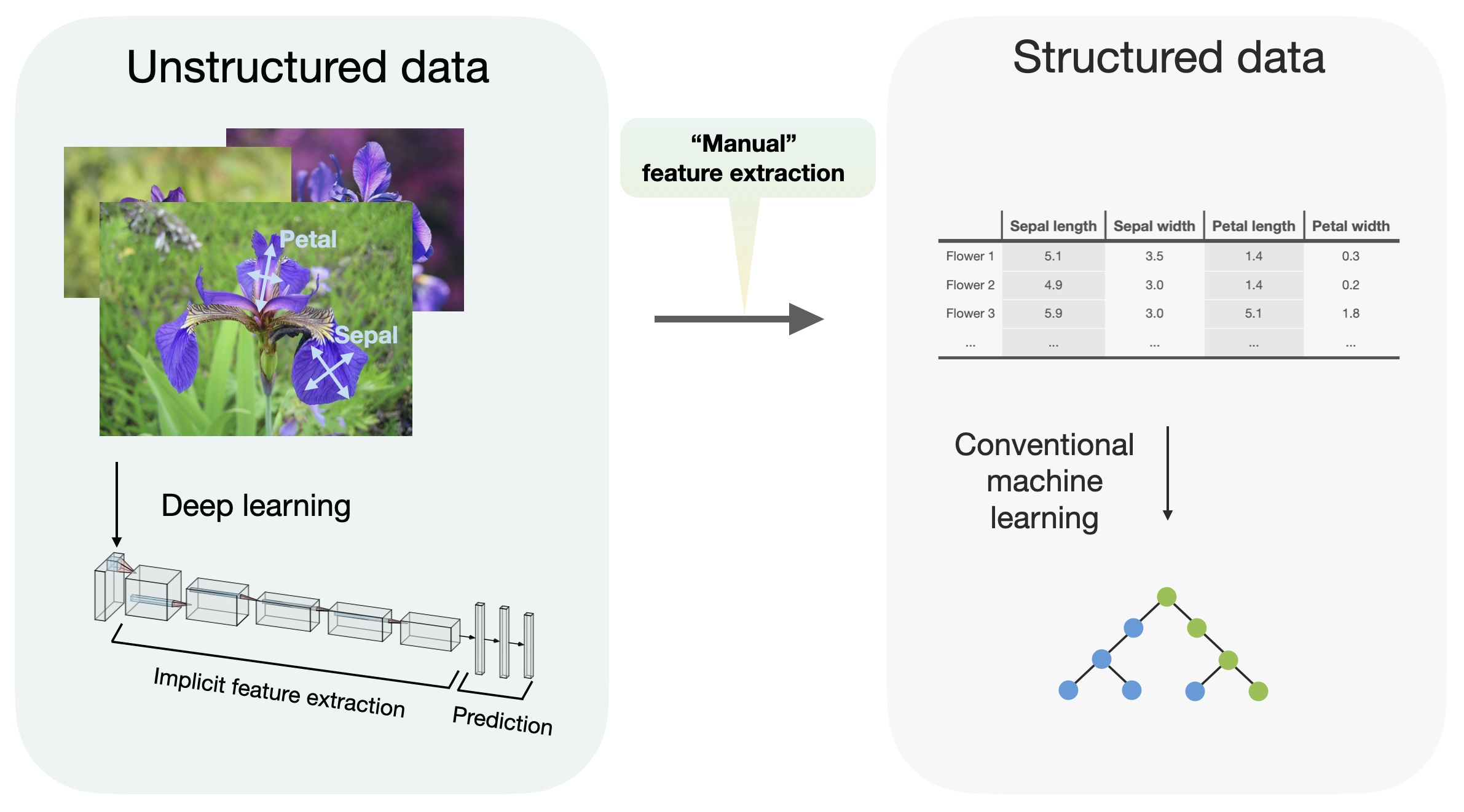 Machine learning store on structured data