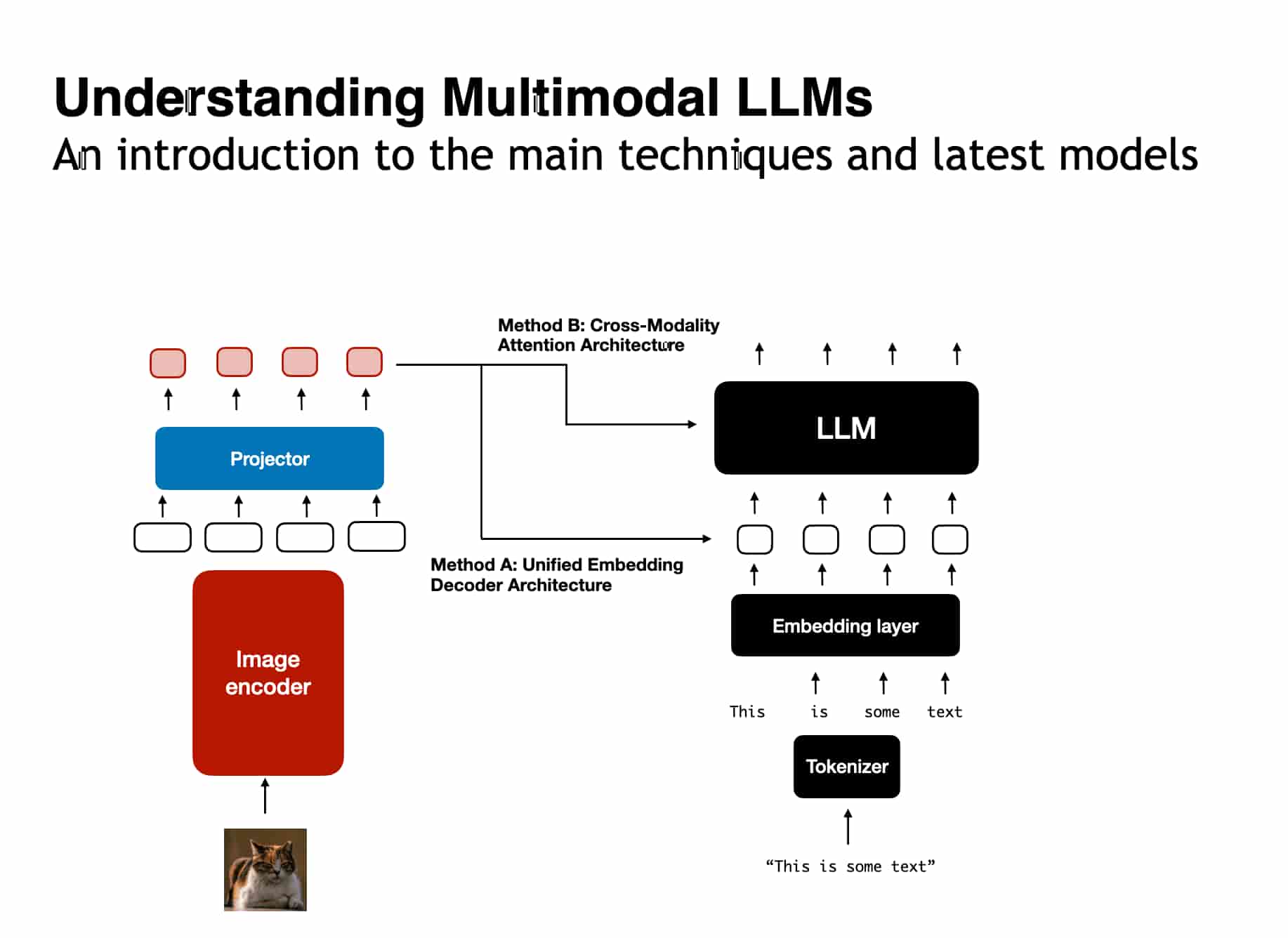 Understanding Multimodal LLMs