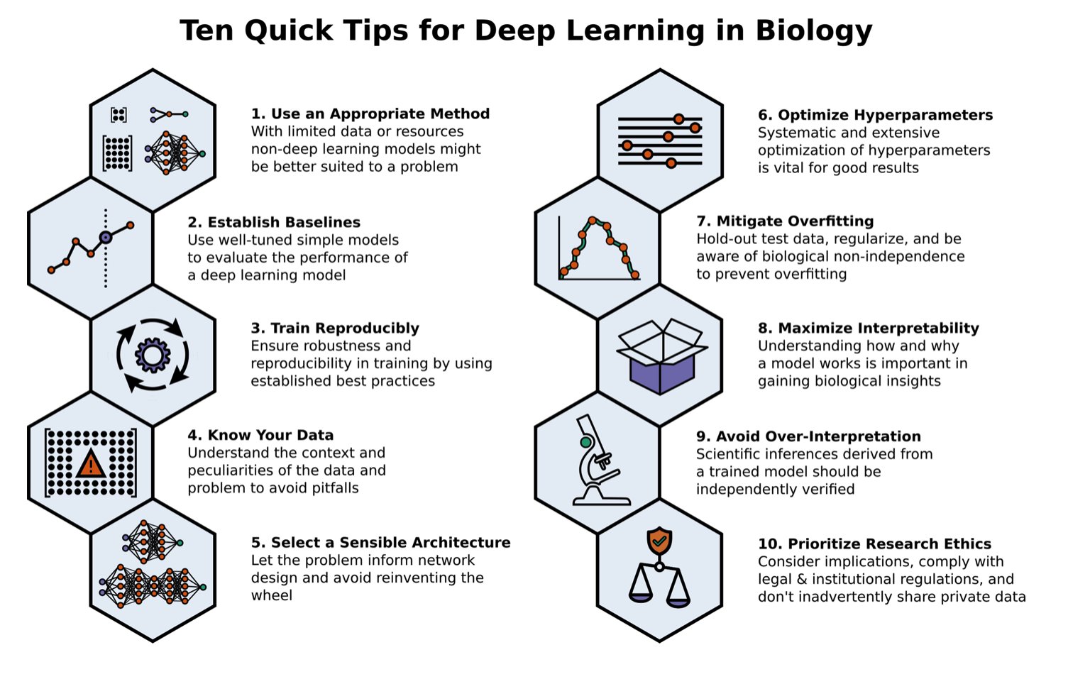 10 Tips for Deep Learning in Biology