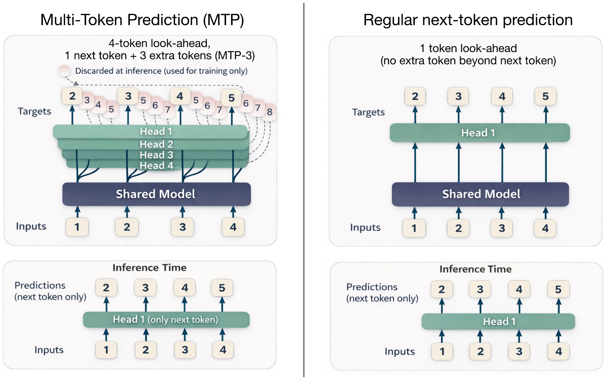 Comparison between next-token prediction and multi-token prediction